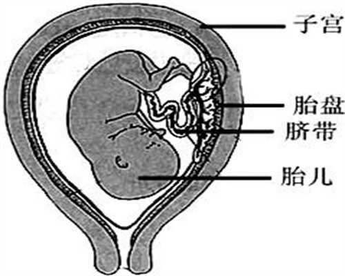 北京代孕妇容易犯的6个错误