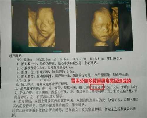 北京代孕哪里最安全,北京卵巢早衰供卵试管婴儿